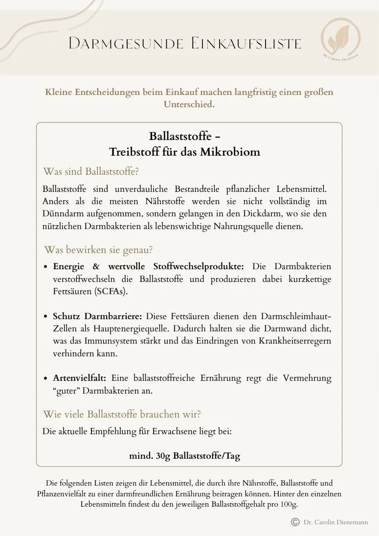 Titelseite des enthaltenen Darmgesunden Einkaufs-Guides